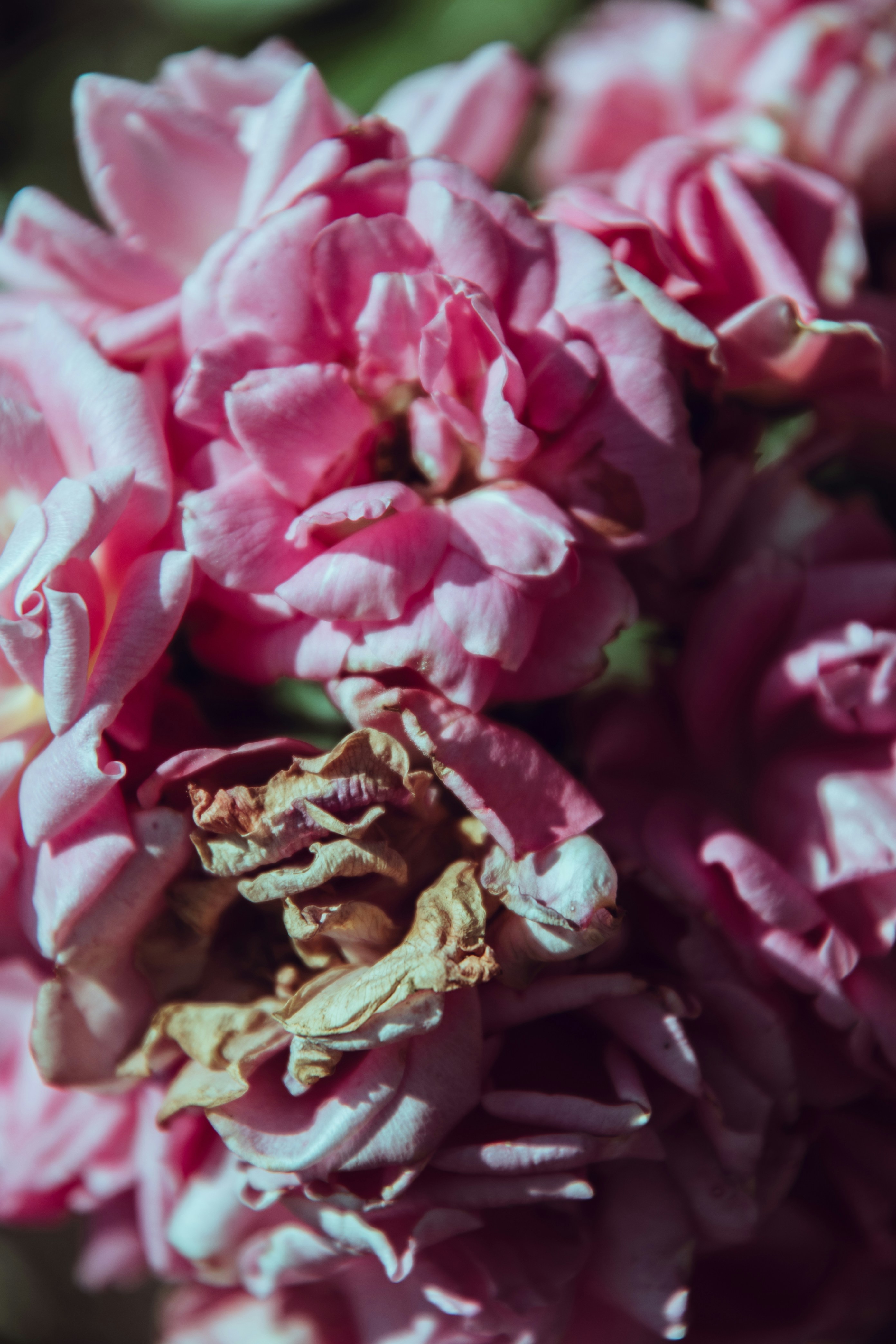 Photo by katerinalandia