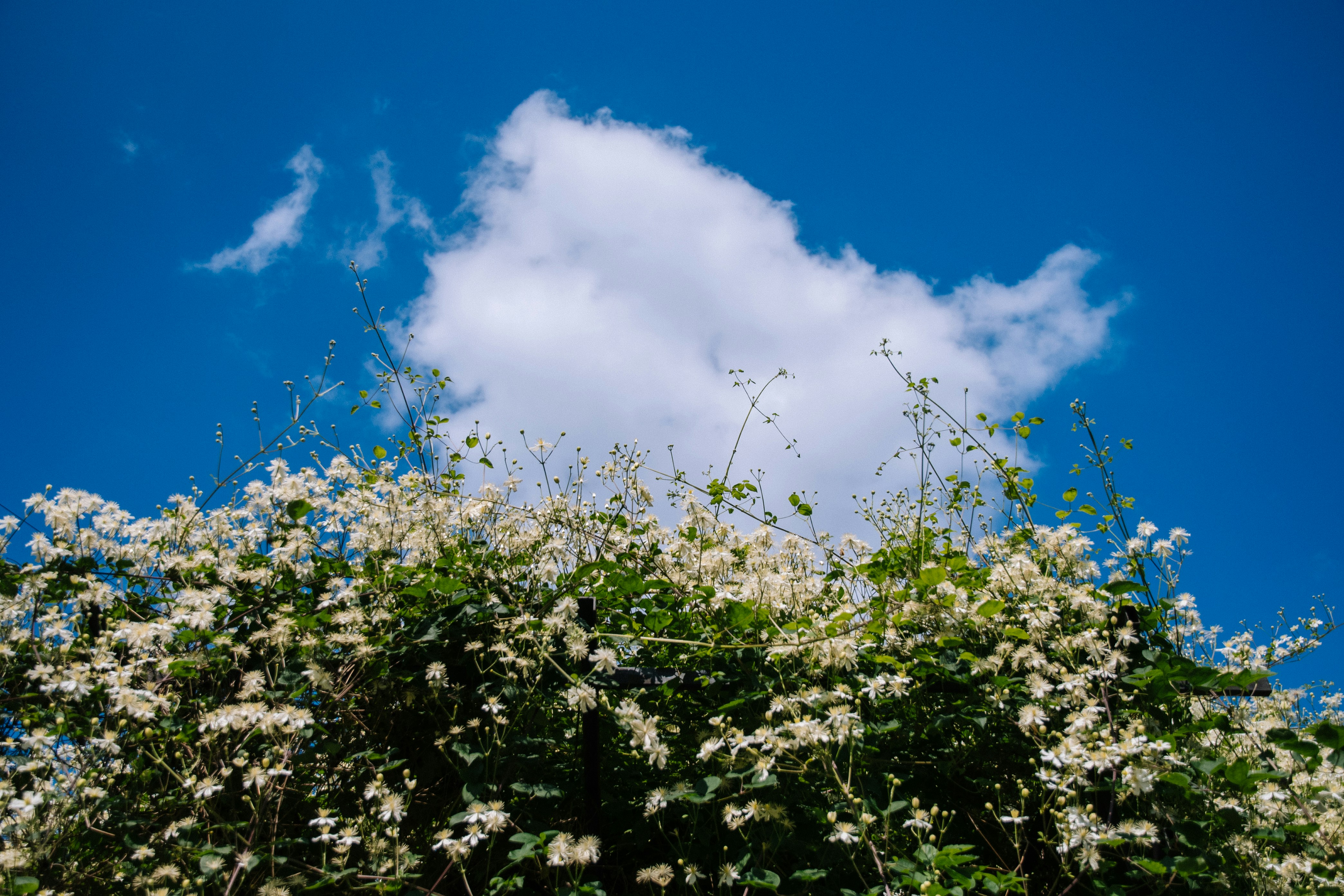 Photo by katerinalandia