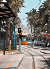 An urban street scene featuring a bright orange tram traveling on tracks lined with tall palm trees. Cars are parked along the street, with a traffic light in the foreground displaying a red signal. Pedestrians are seen near the edge of the street, and the atmosphere is lively and tropical.
