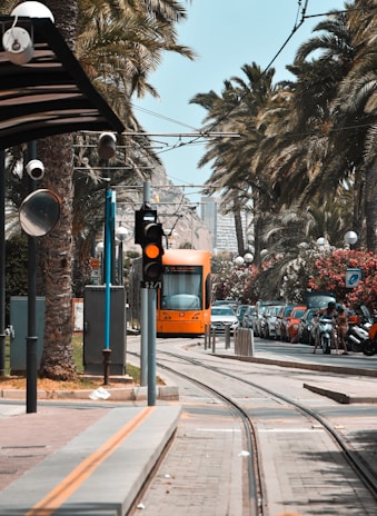 An urban street scene featuring a bright orange tram traveling on tracks lined with tall palm trees. Cars are parked along the street, with a traffic light in the foreground displaying a red signal. Pedestrians are seen near the edge of the street, and the atmosphere is lively and tropical.