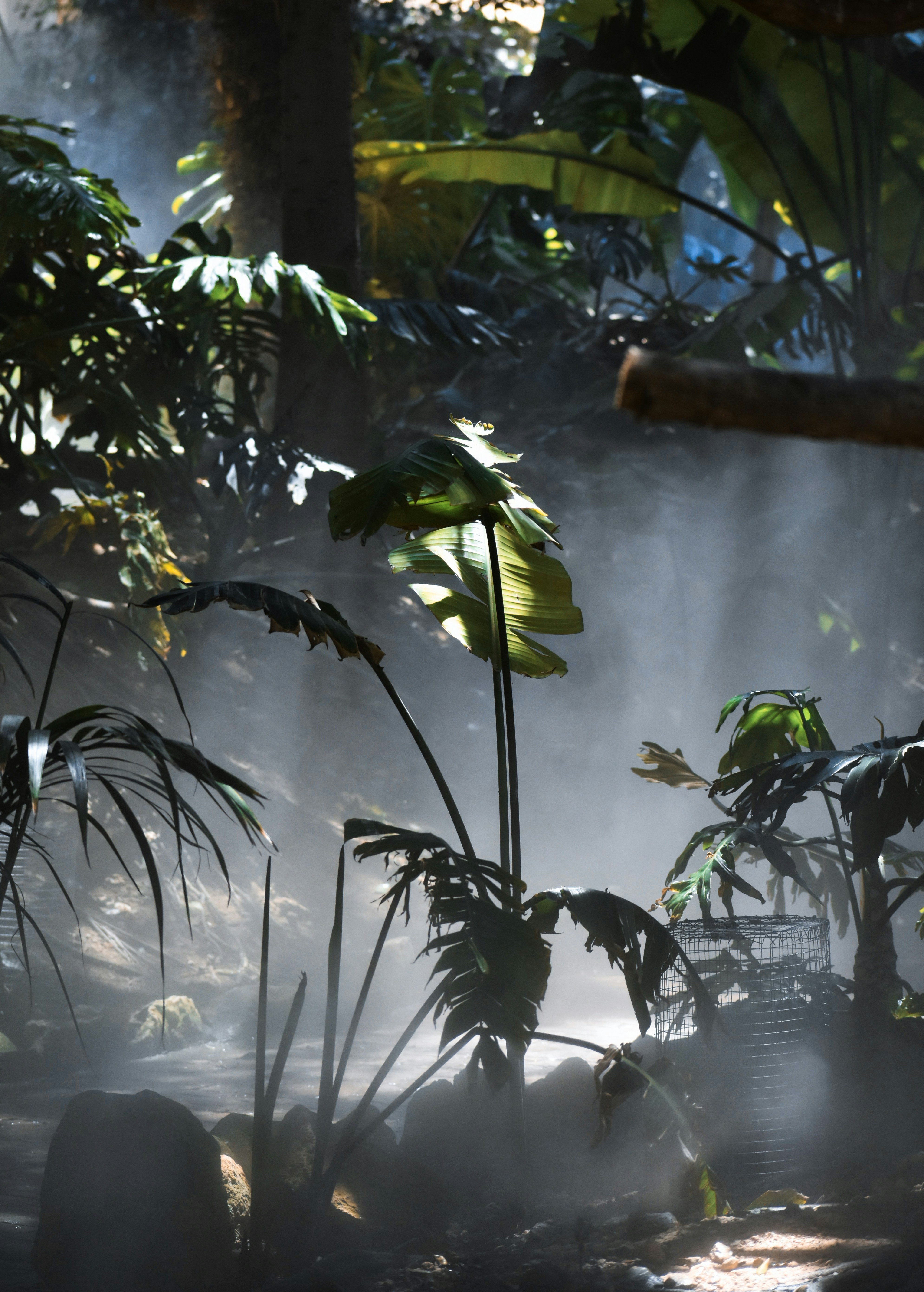 Photo by keszthelyit