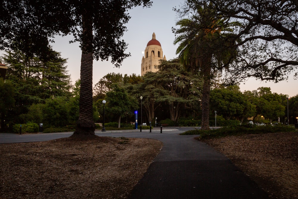 a view of a building through some trees