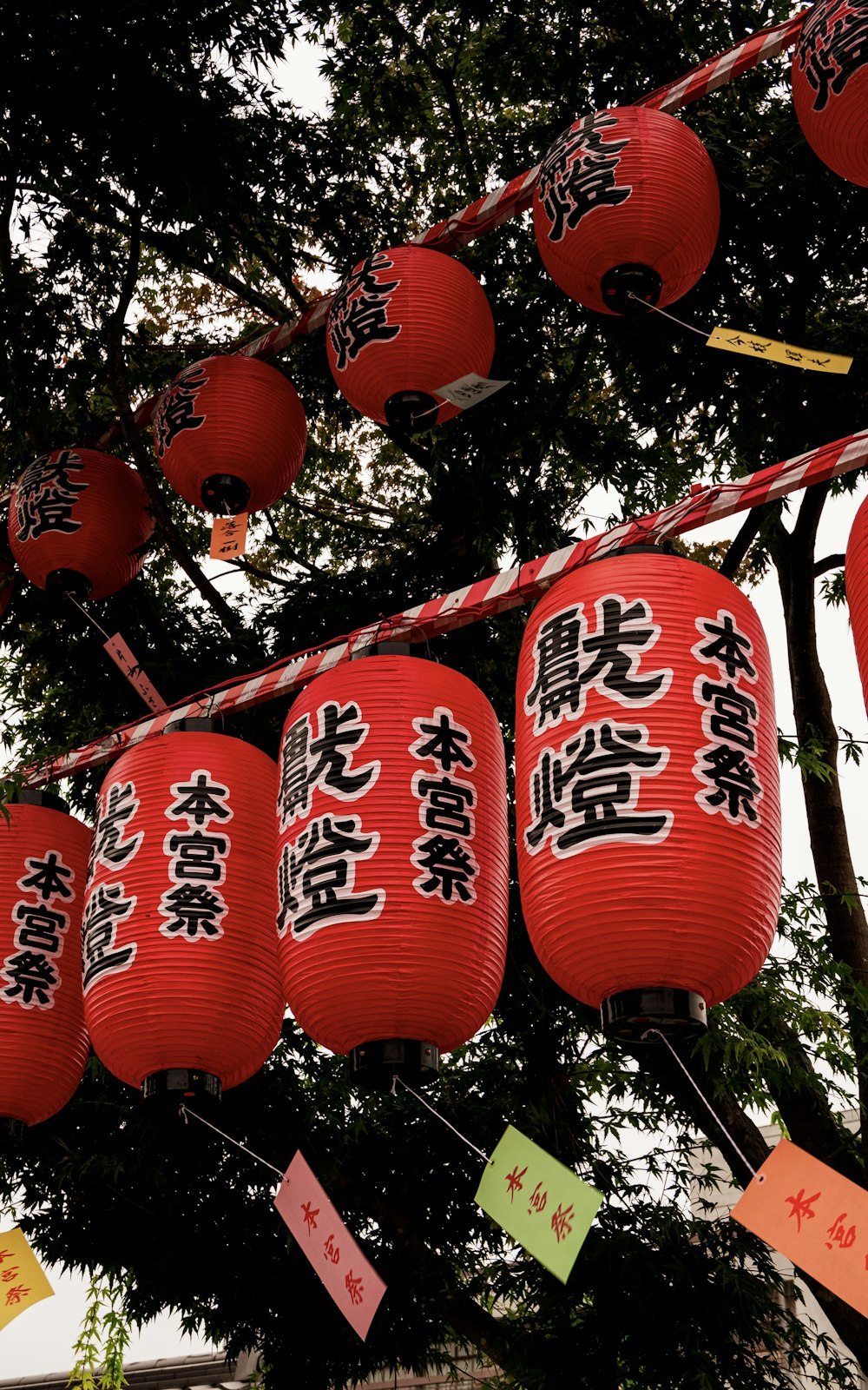 a bunch of red lanterns hanging from a tree