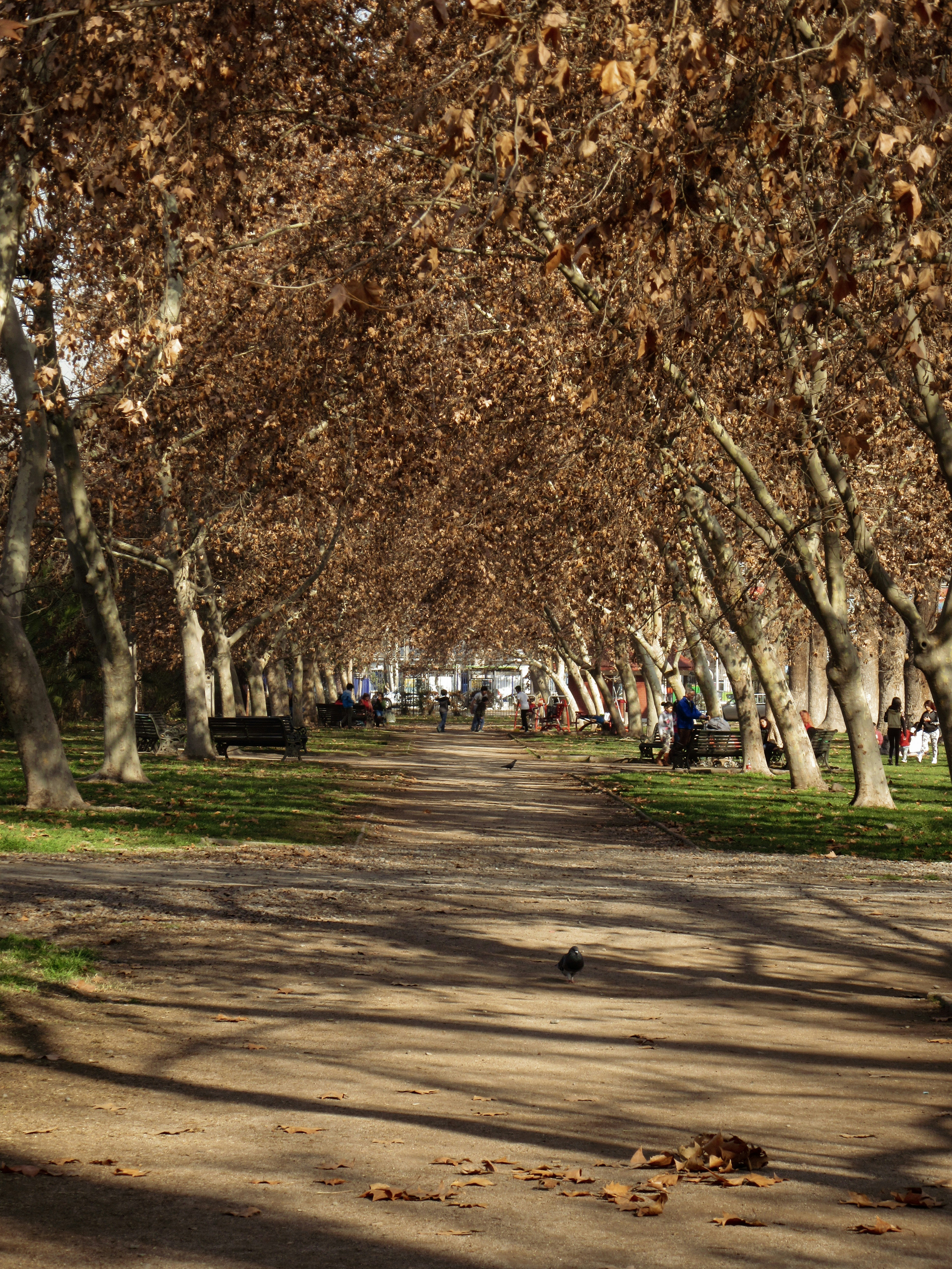 Photo by eyesbytheworld