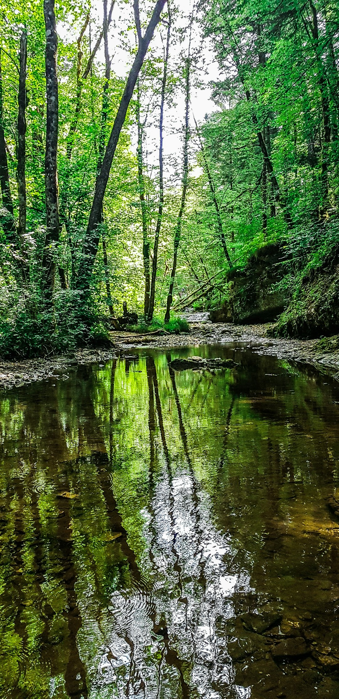 Forest photo spot Aux Étroits Mijoux