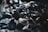 A close-up view of several pieces of coal or charcoal with rough and uneven textures. The image focuses on the dark, black tones of the material, with some highlights catching the light, creating a stark contrast against the shadows.