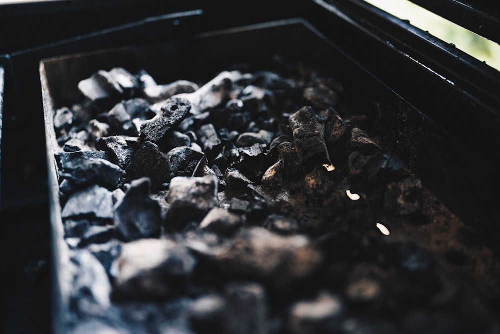 Fotografia a fuoco selettiva del carboncino nero