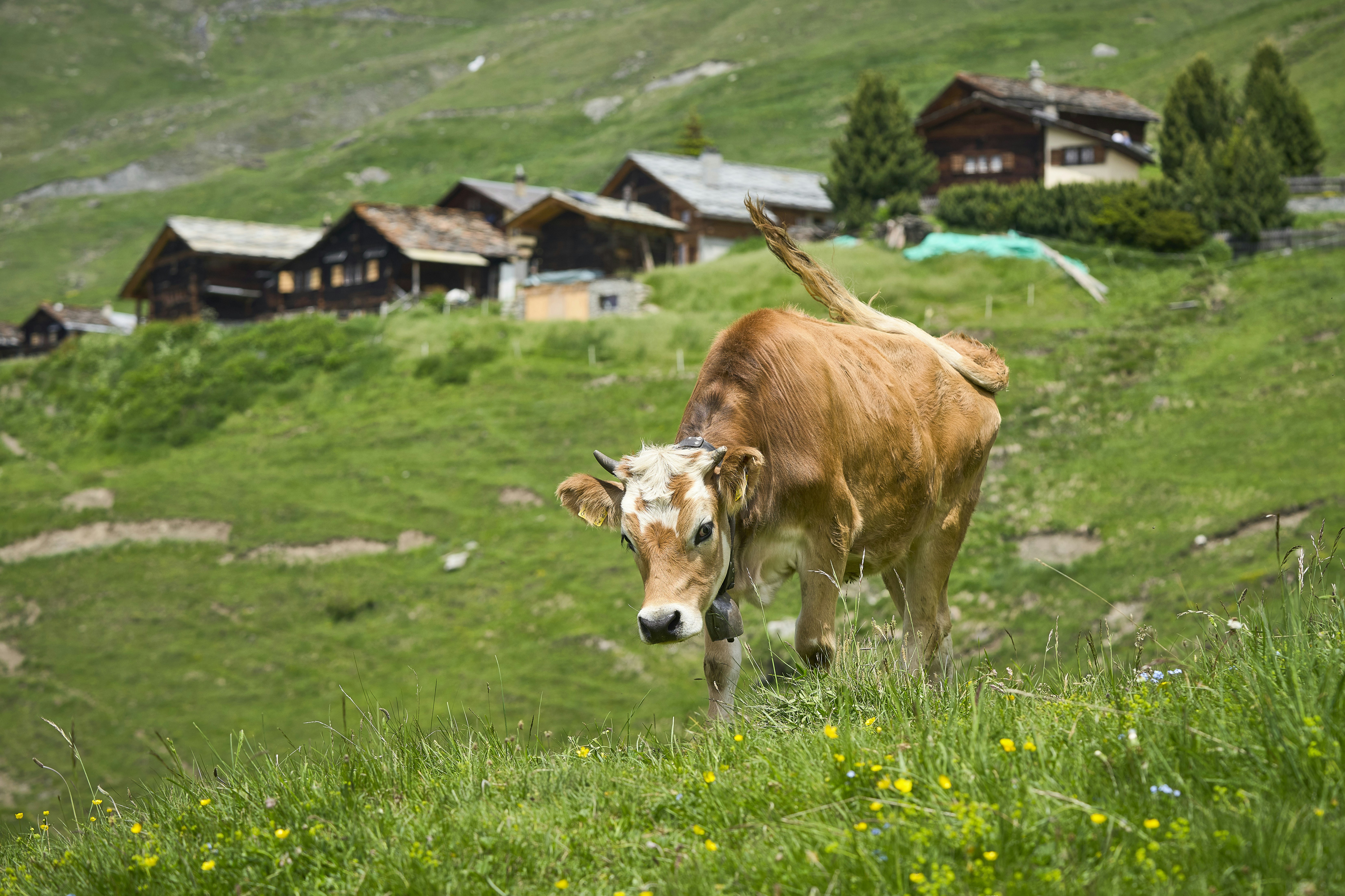 Heidi Klum and Daughter Leni Face Backlash for Lingerie Campaign