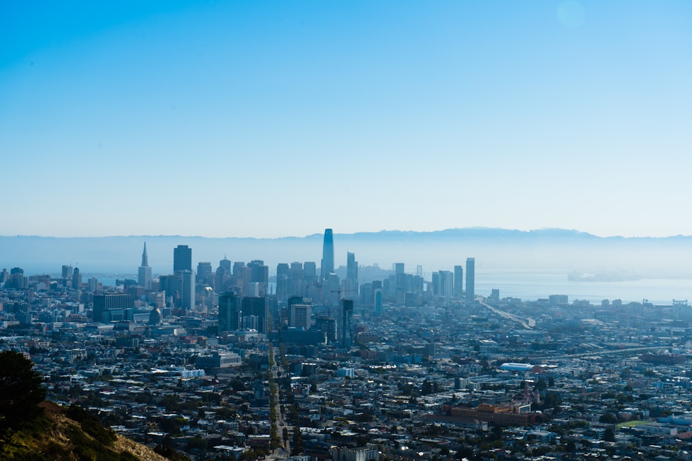 aerial photography of city buildings