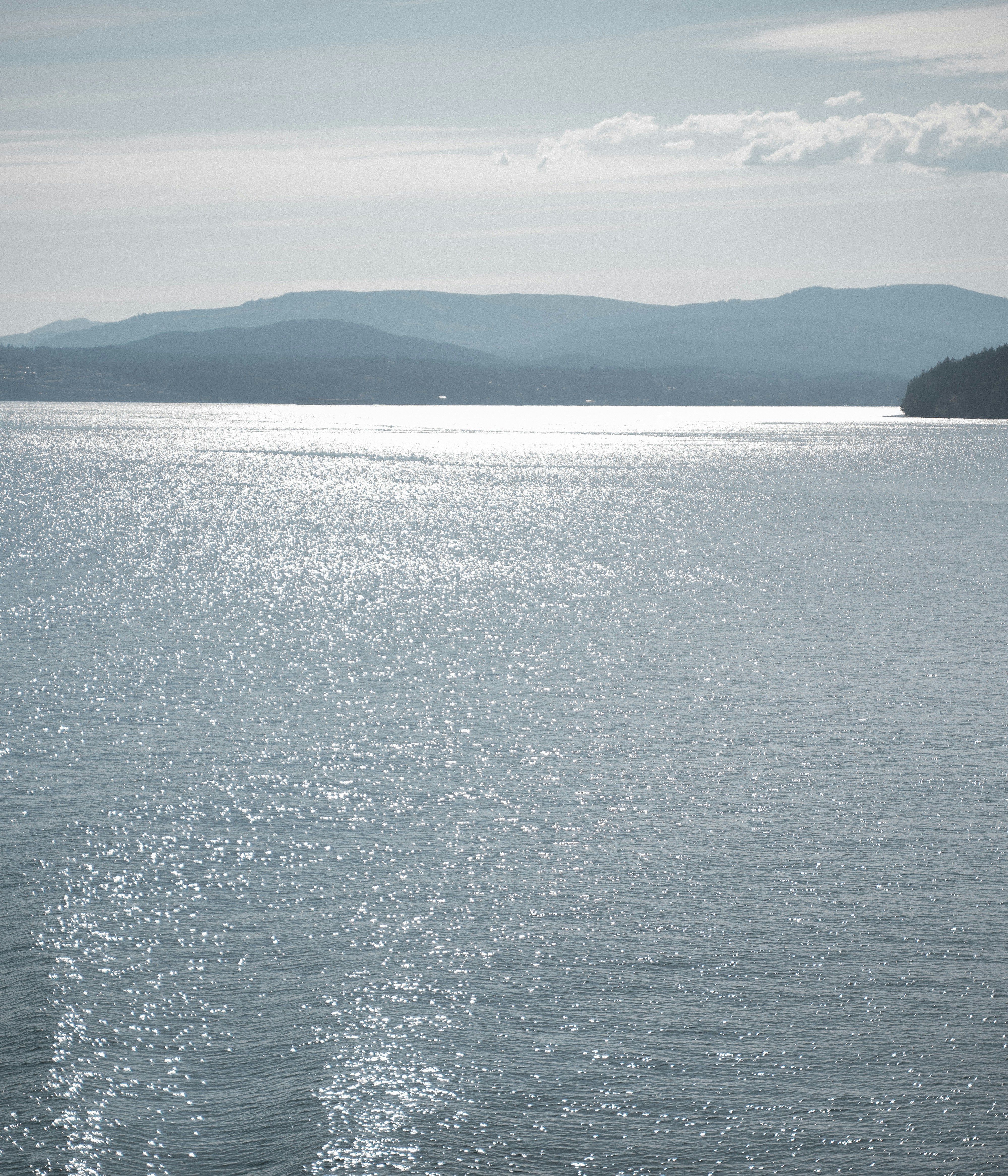 Photo by alexander_tsang