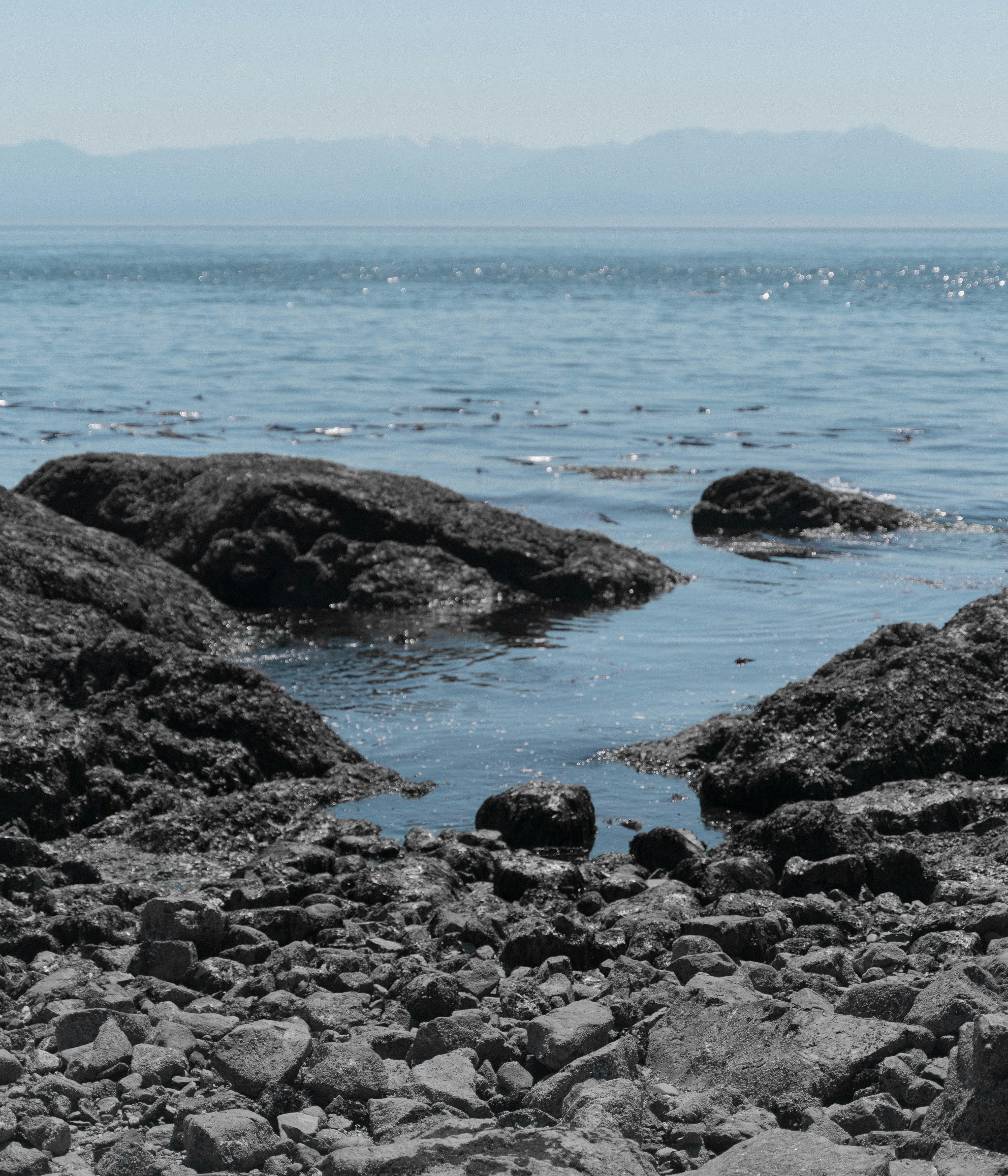 Photo by alexander_tsang