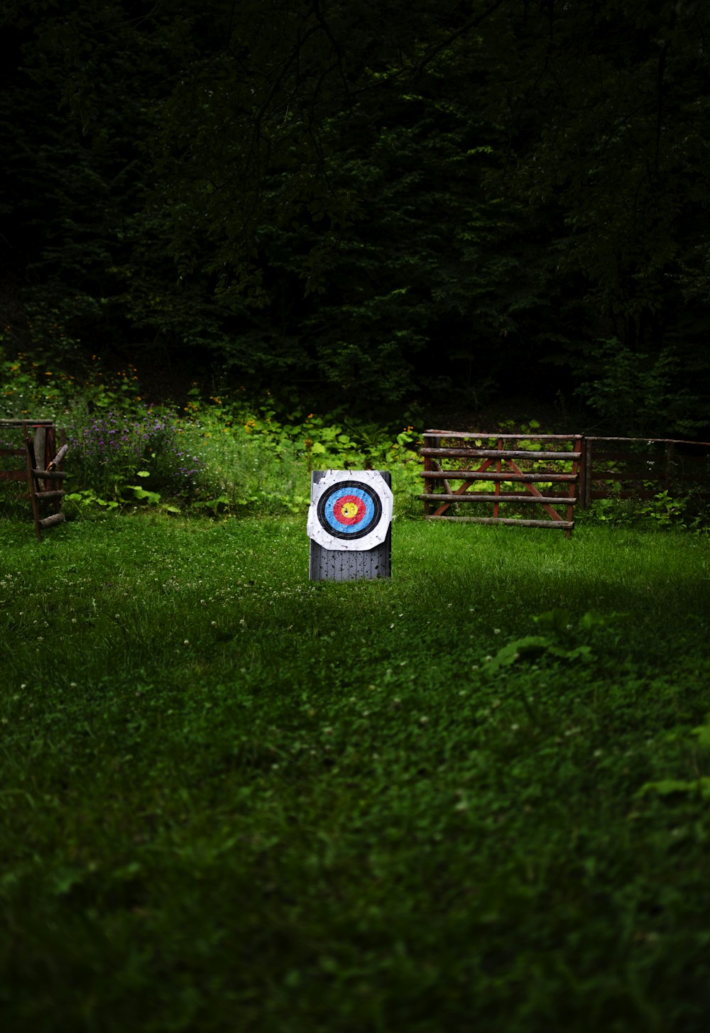 white and multicolored target board on green field