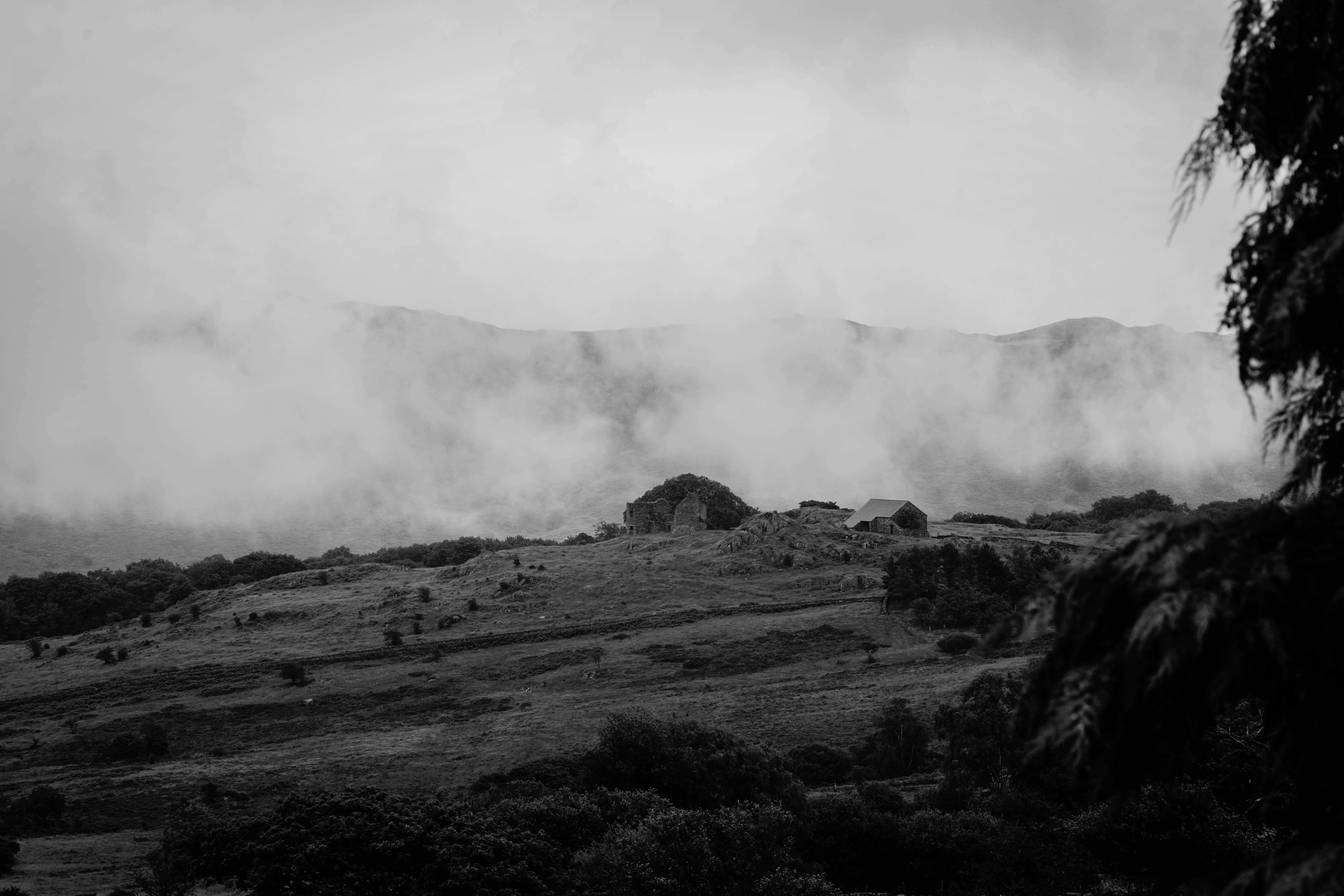 Photo by tomasrobertson