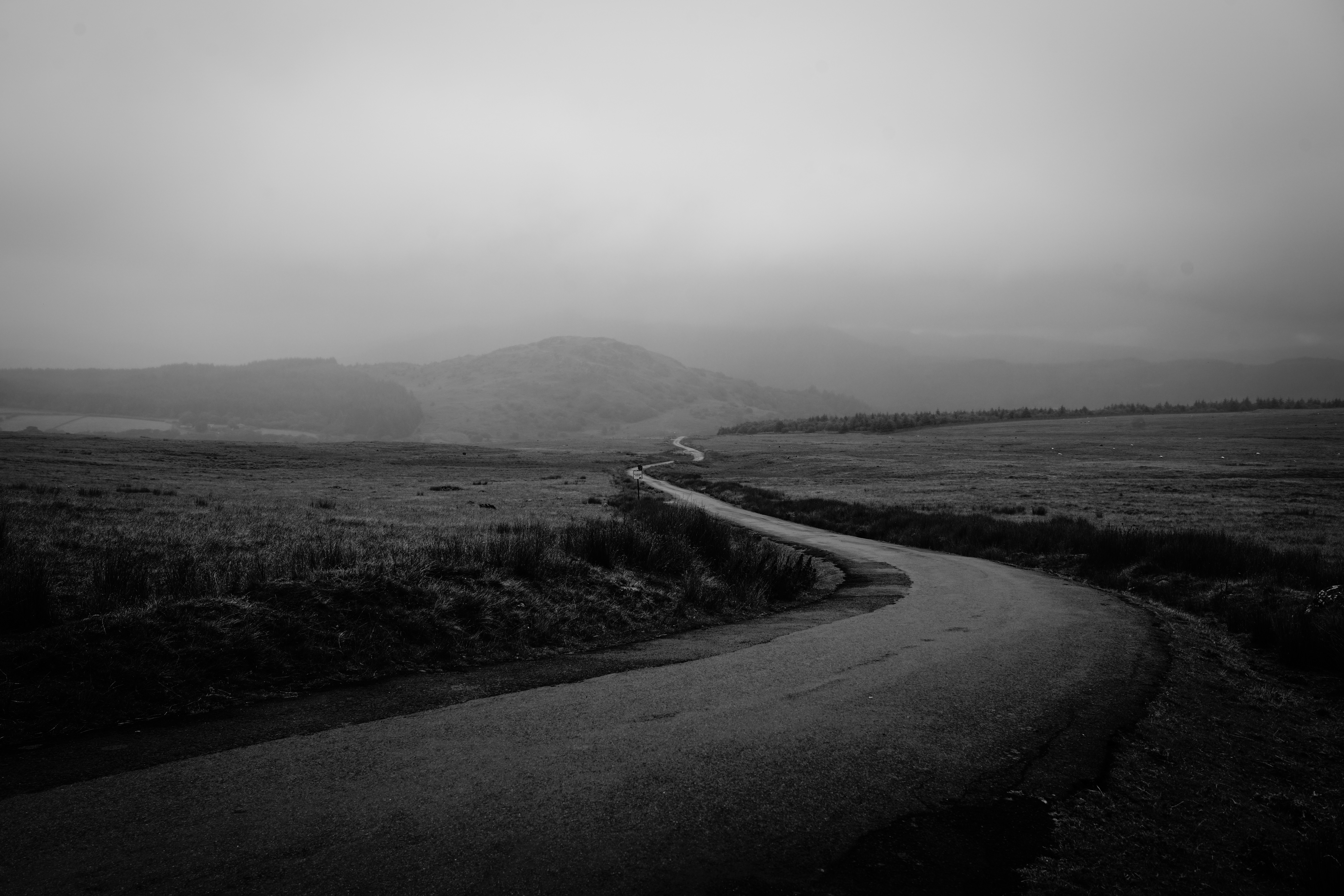 Photo by tomasrobertson