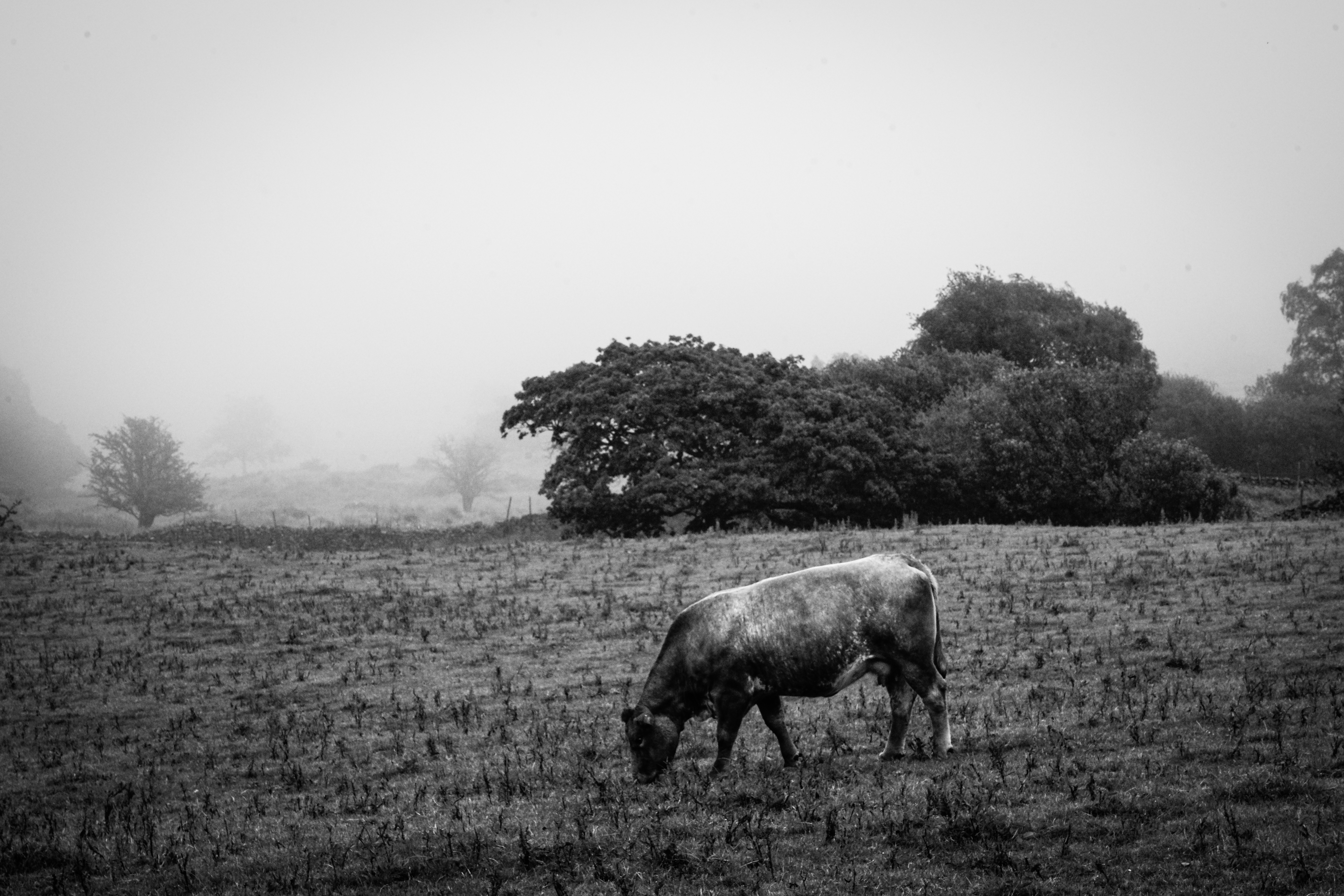 Photo by tomasrobertson