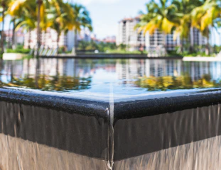 Close-up of a modern water feature surrounded by native plants.