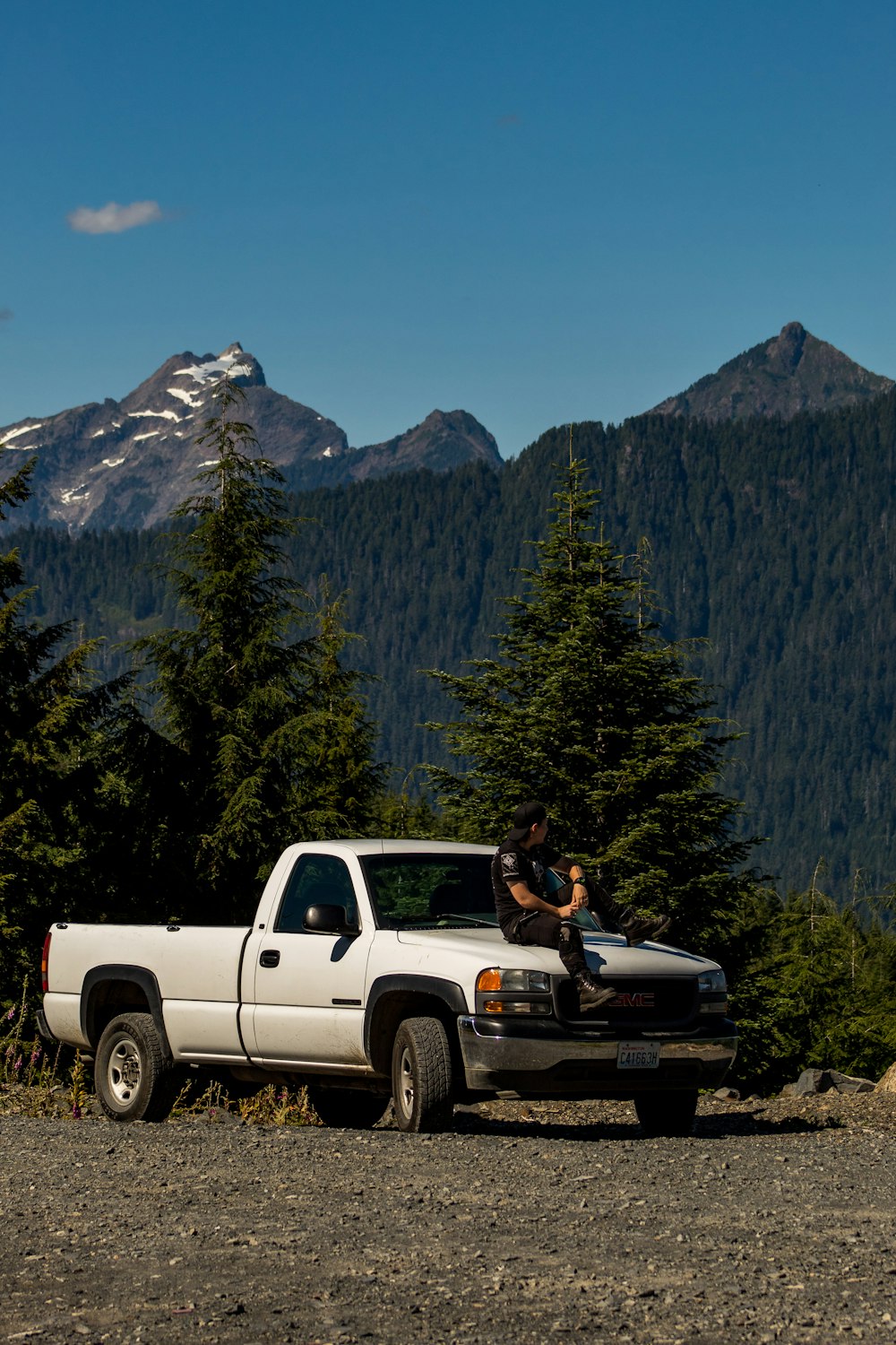 man sits on white single pickup truck at the forest