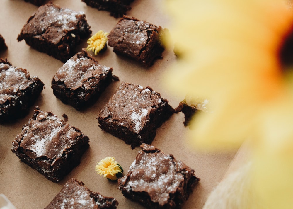 brownies in close-up photography