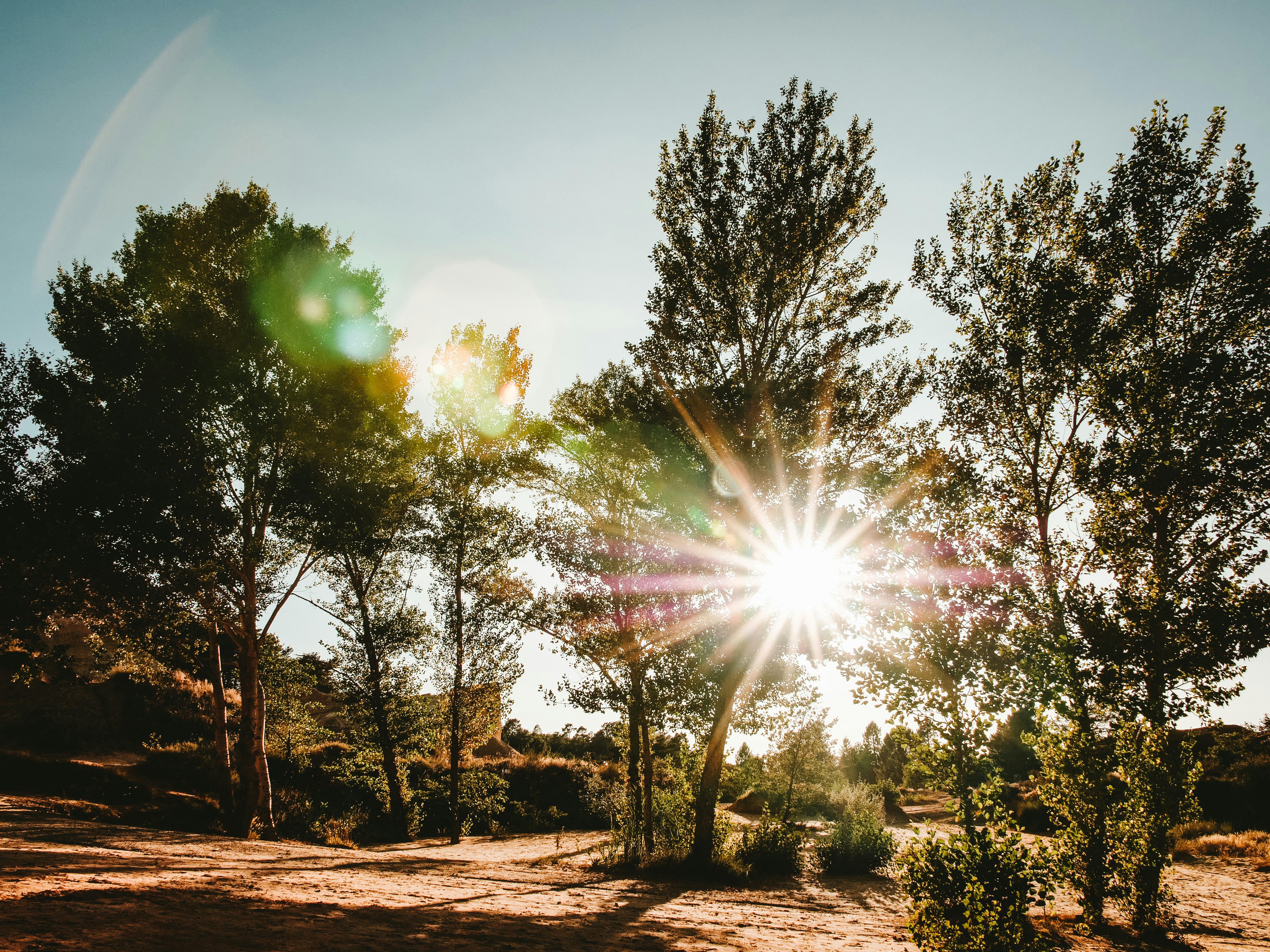 The Bitcoin Family header image