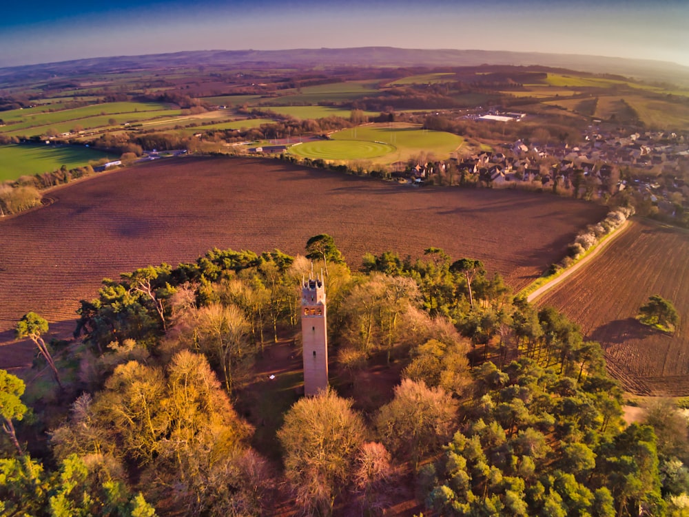 grauer Turm mit Bäumen an den Seiten