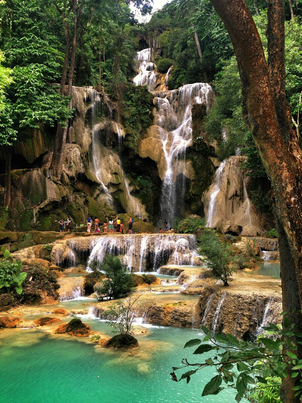 waterfall between trees during daytime