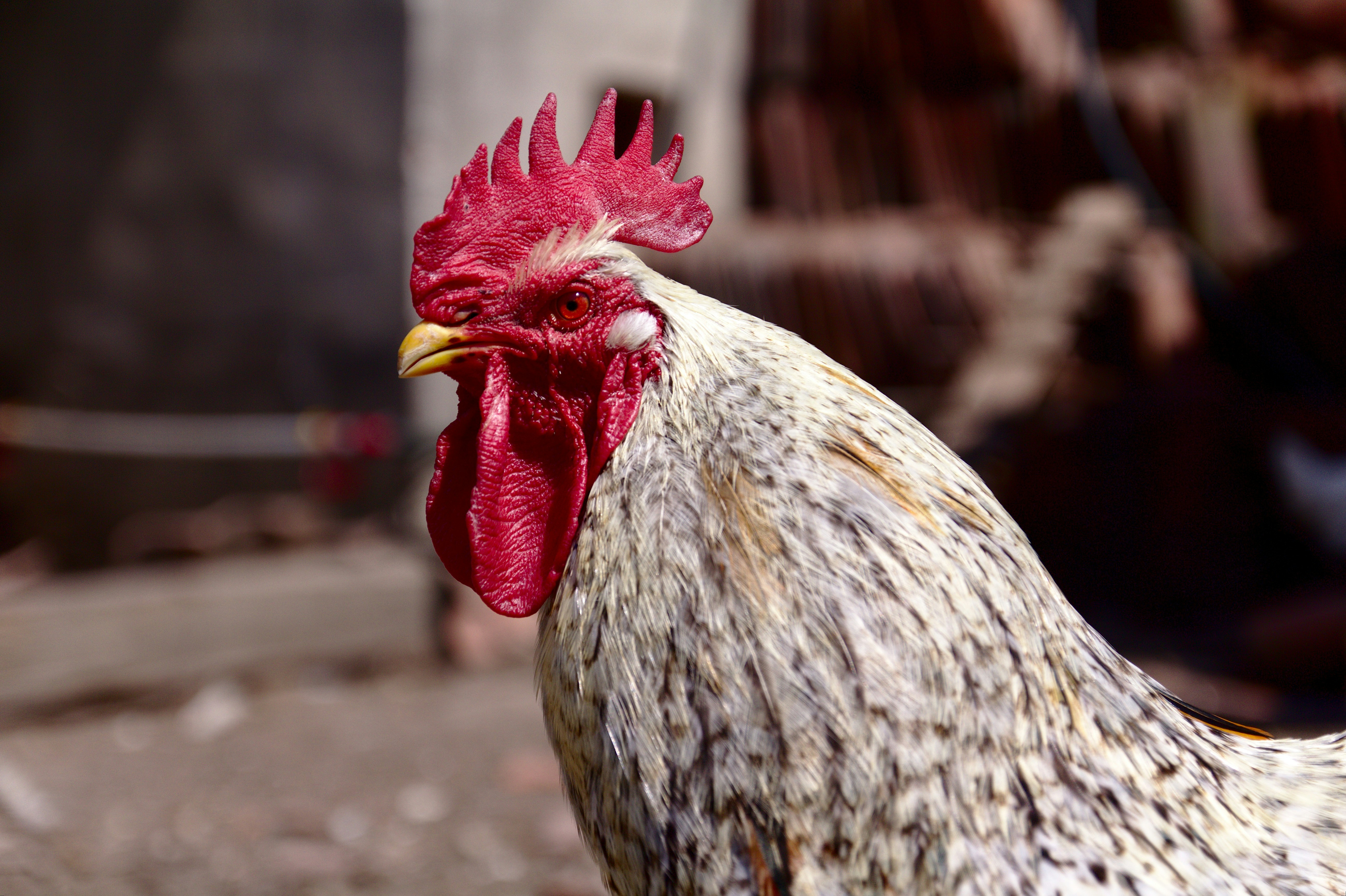 Photo by filip_sutkowy