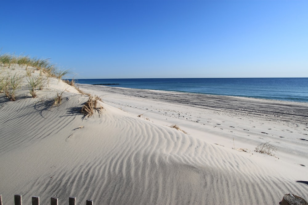 a sandy beach next to the ocean under a blue sky