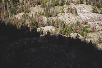 A rugged British Columbia landscape with a sturdy off-grid cabin surrounded by forest.