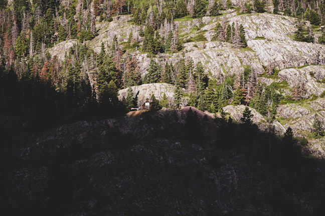 A rugged British Columbia landscape with a sturdy off-grid cabin surrounded by forest.