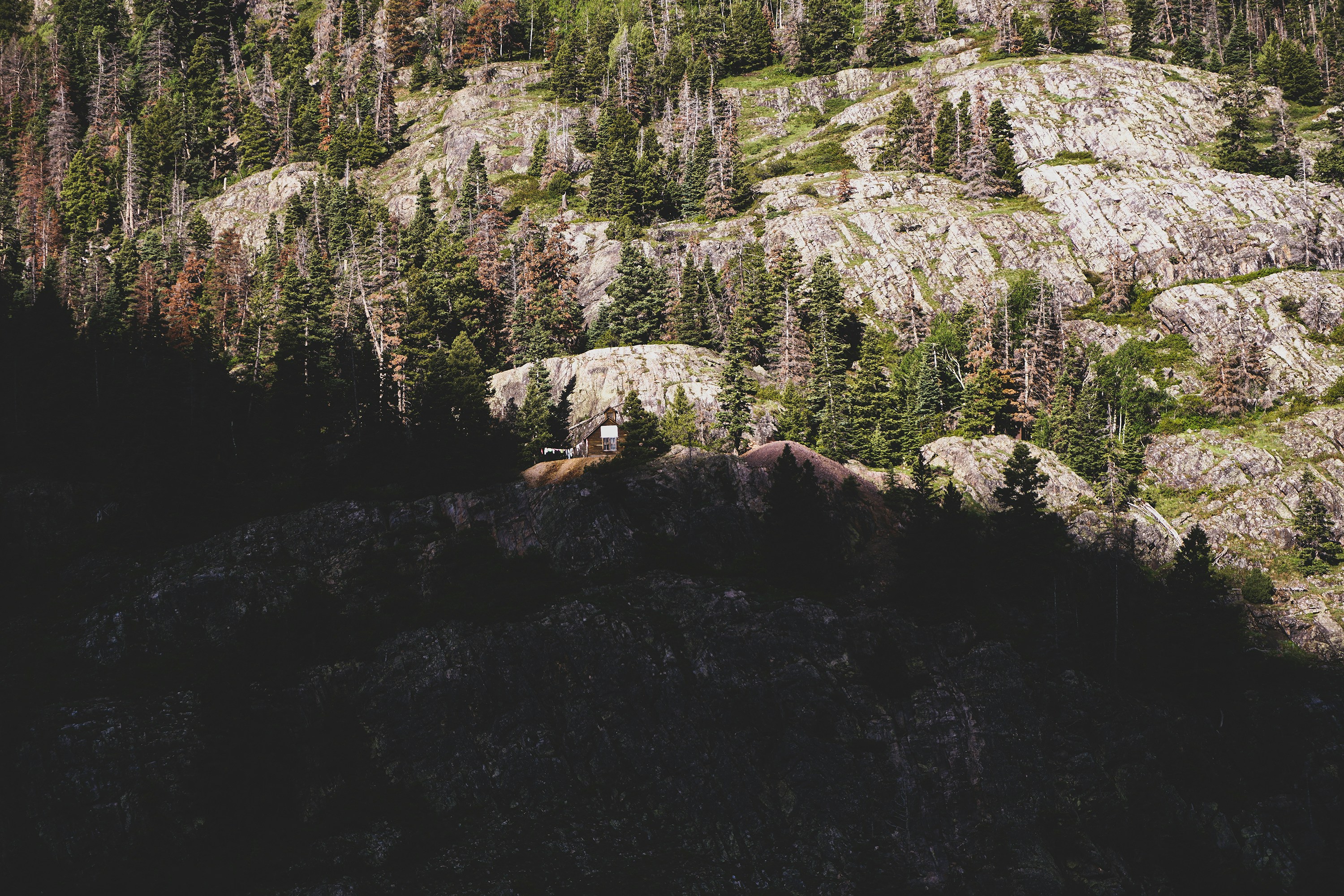 Living the dream. Between Silverton and Ouray Colorado. credit: @terrainadvco