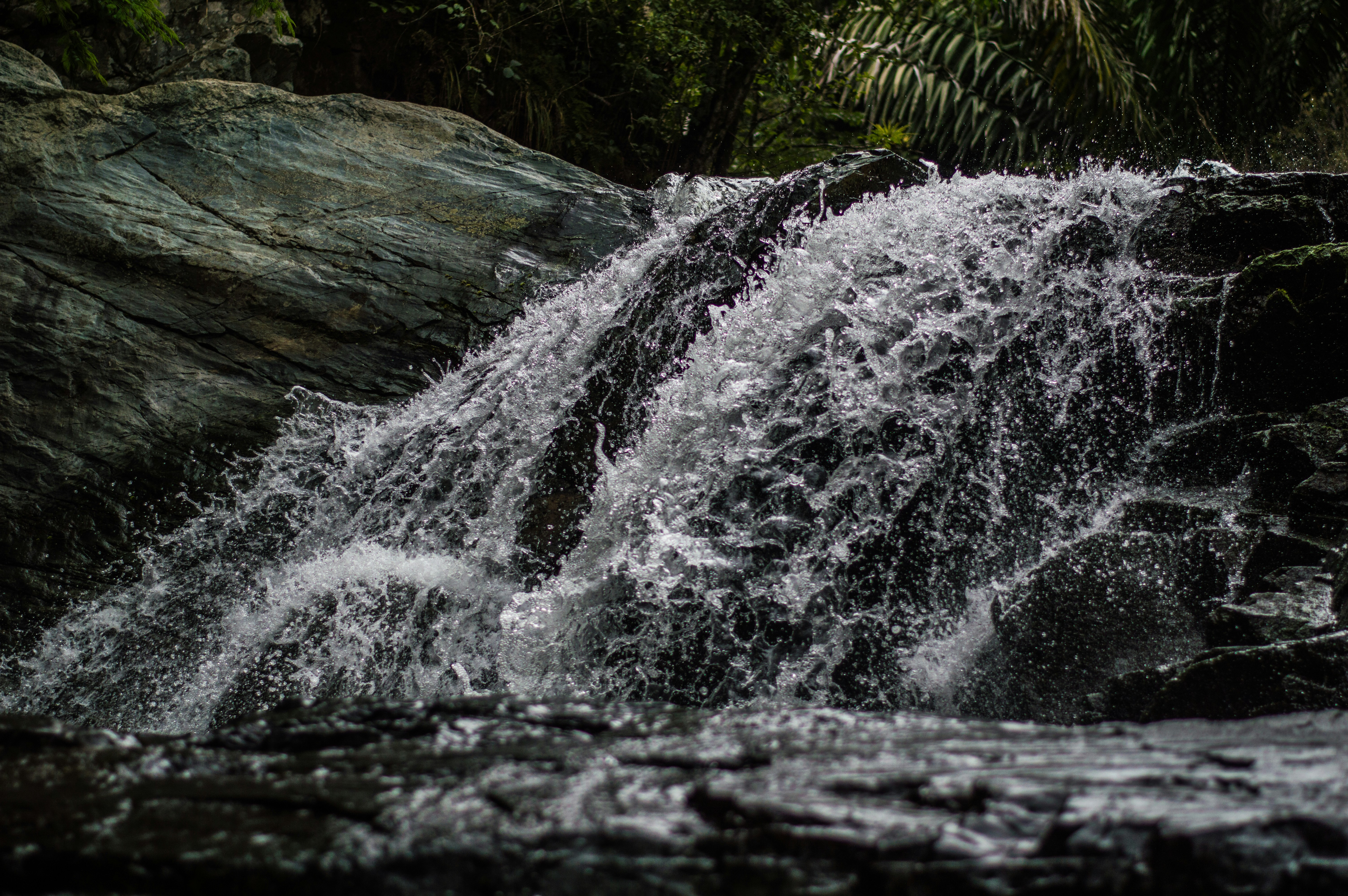 Photo by camilofierro14