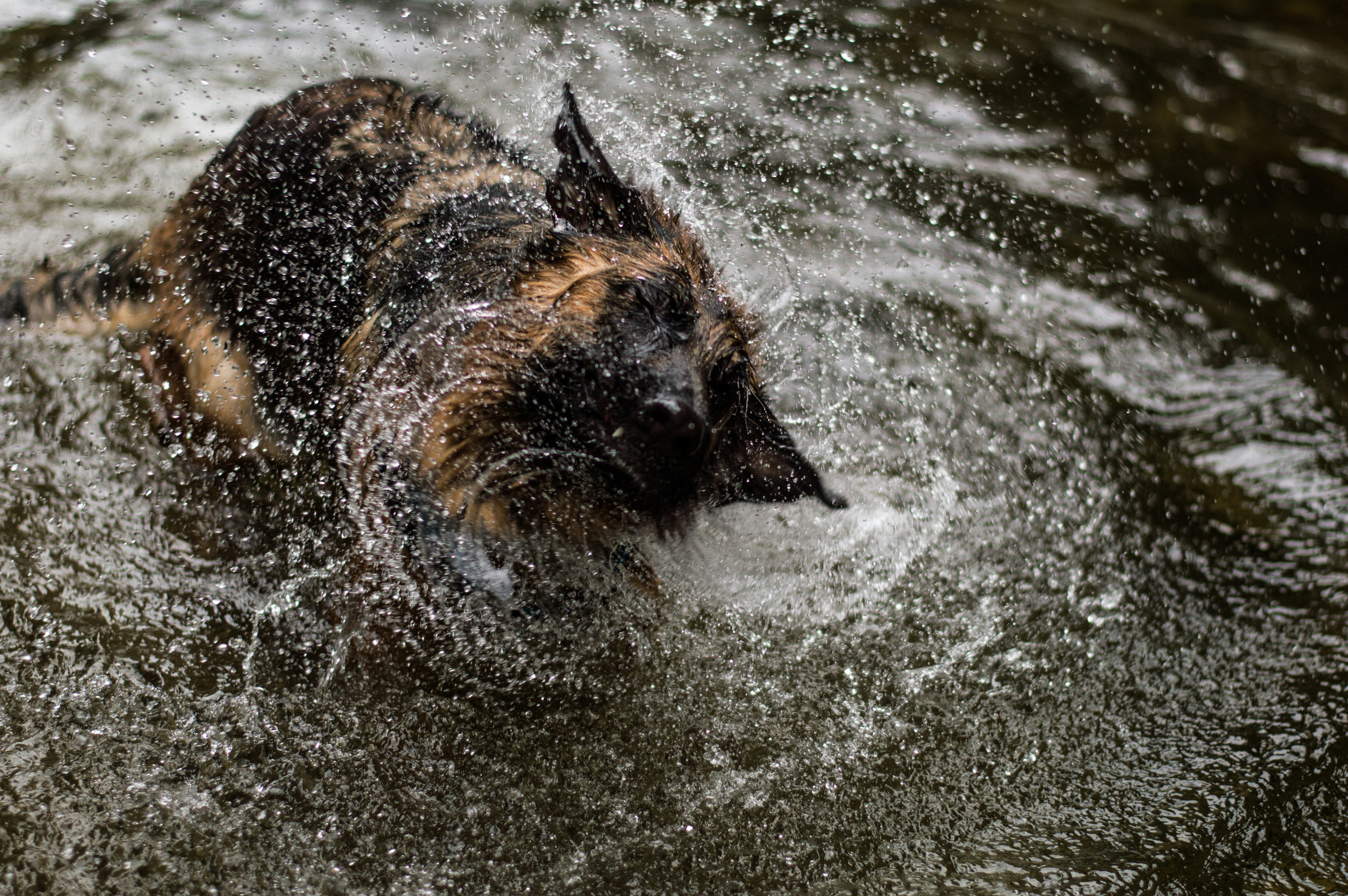 Photo by camilofierro14