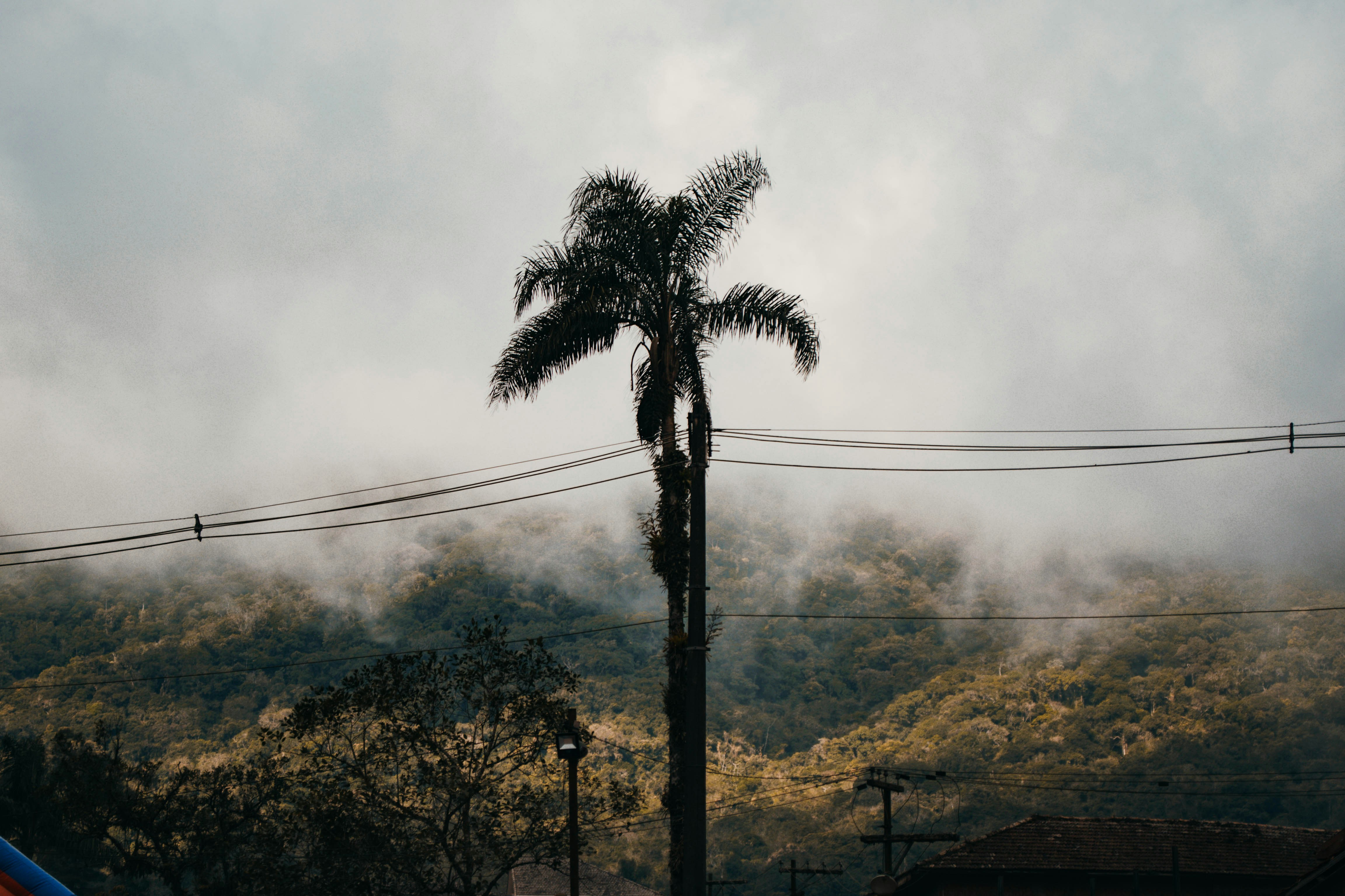 Joli Definition De Joli Dictionnaire La Langue Francaise