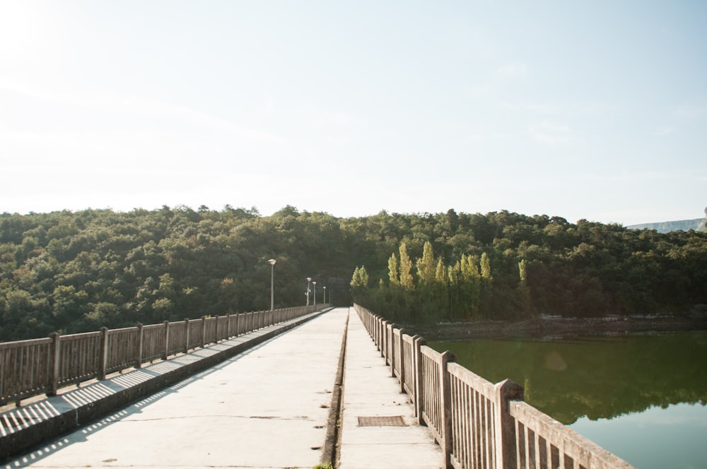 brown bridge