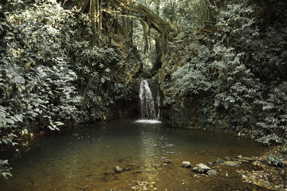 water stream during daytime