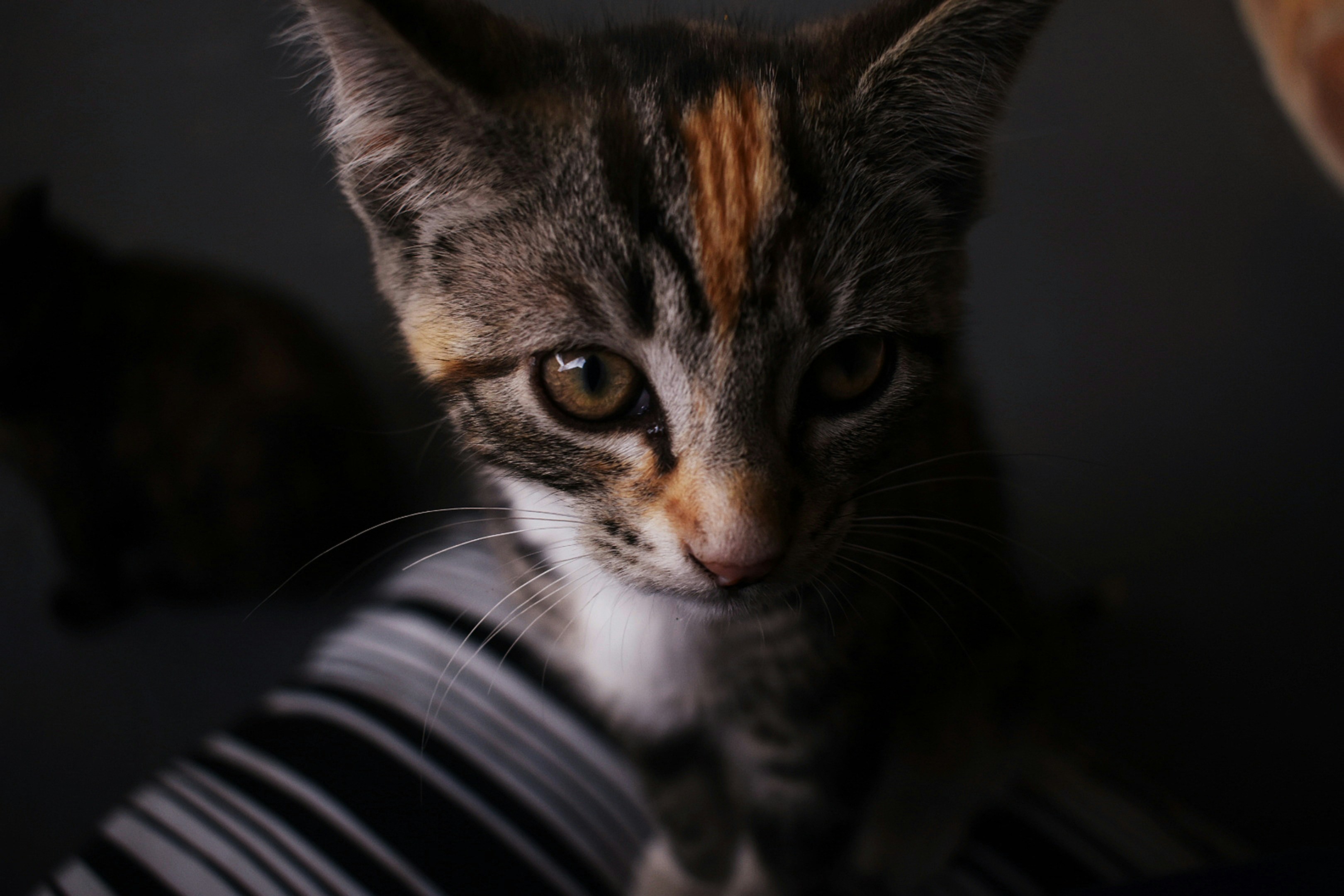 Photo by unscriptedme