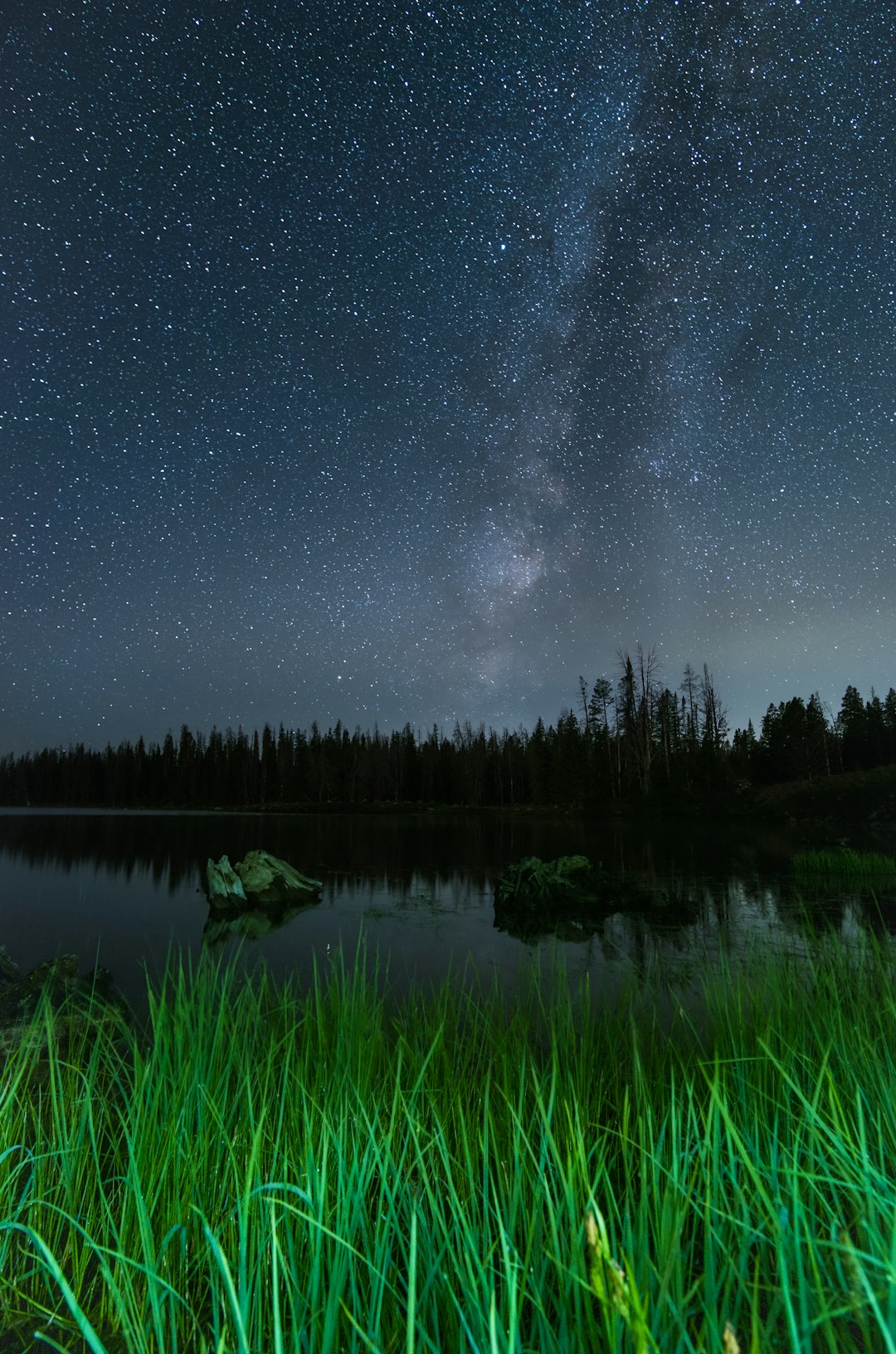 green grass overlooking milkyway