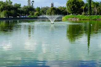 fountain at the park under cloudy day