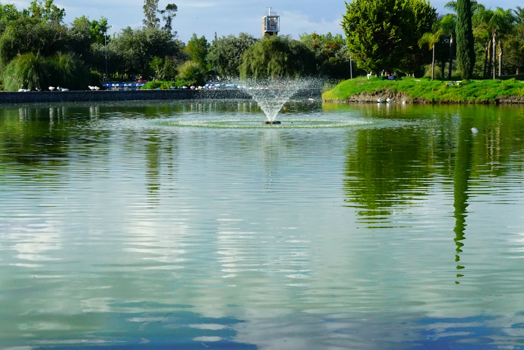 fountain at the park under cloudy day