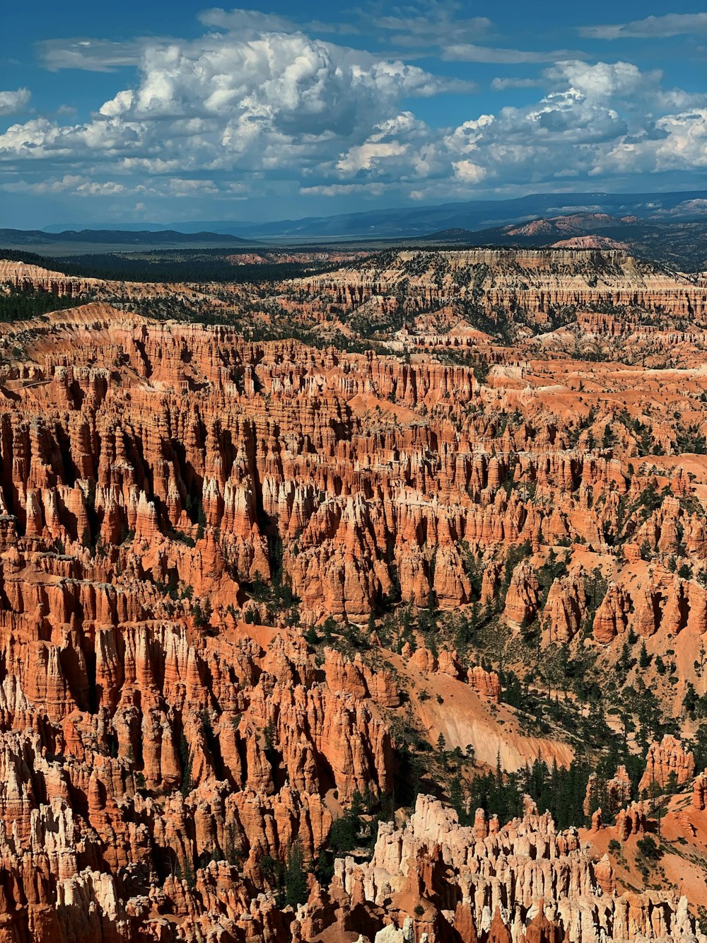 paisaje durante el día