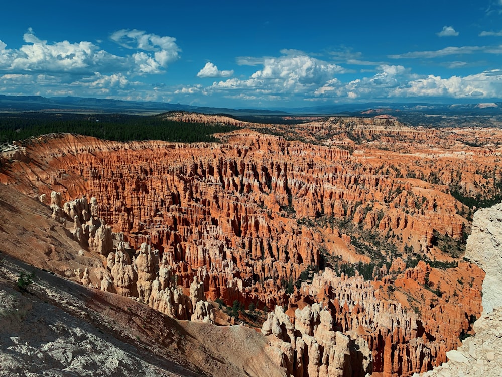 landscape during daytime