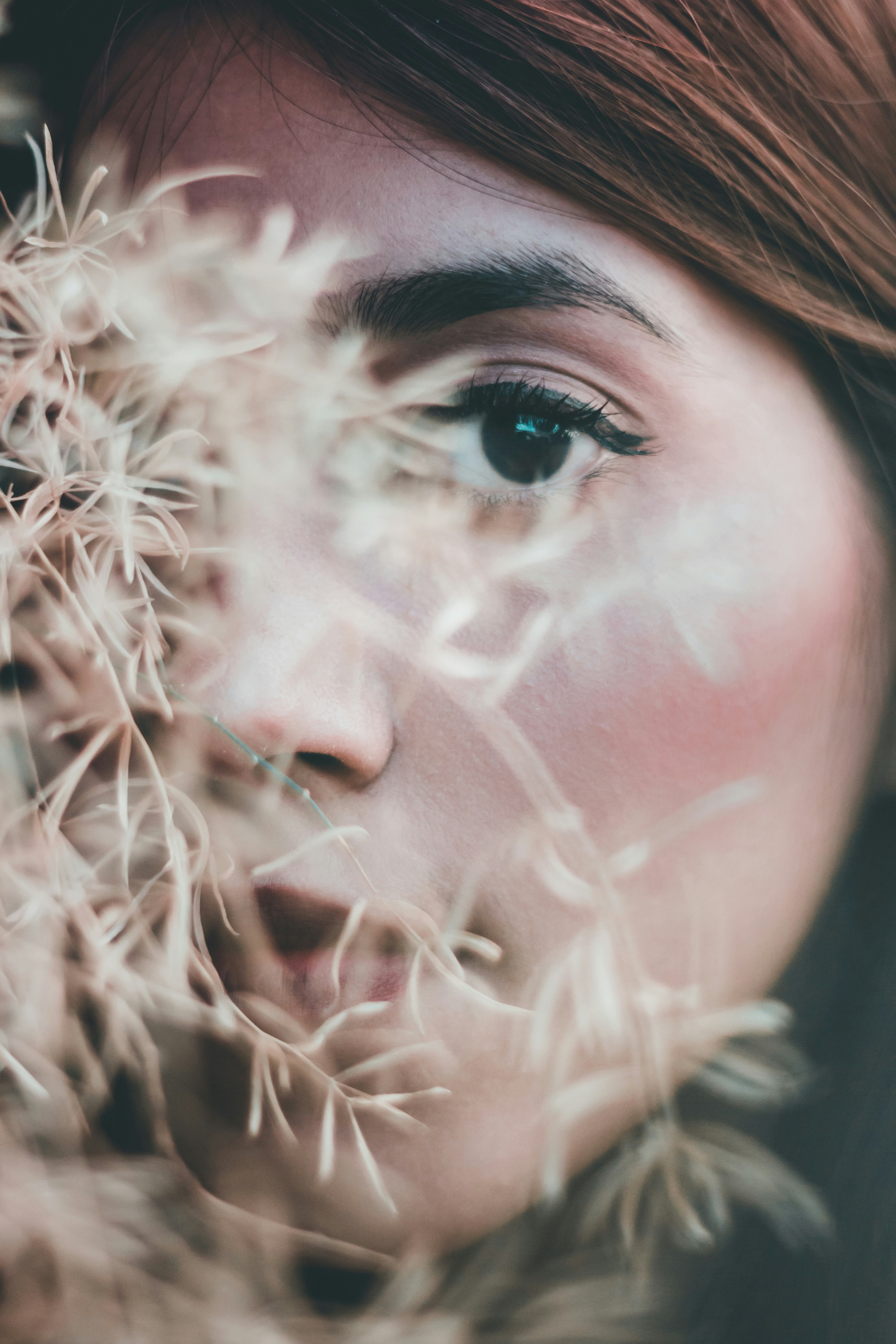 Photo by adityaspace