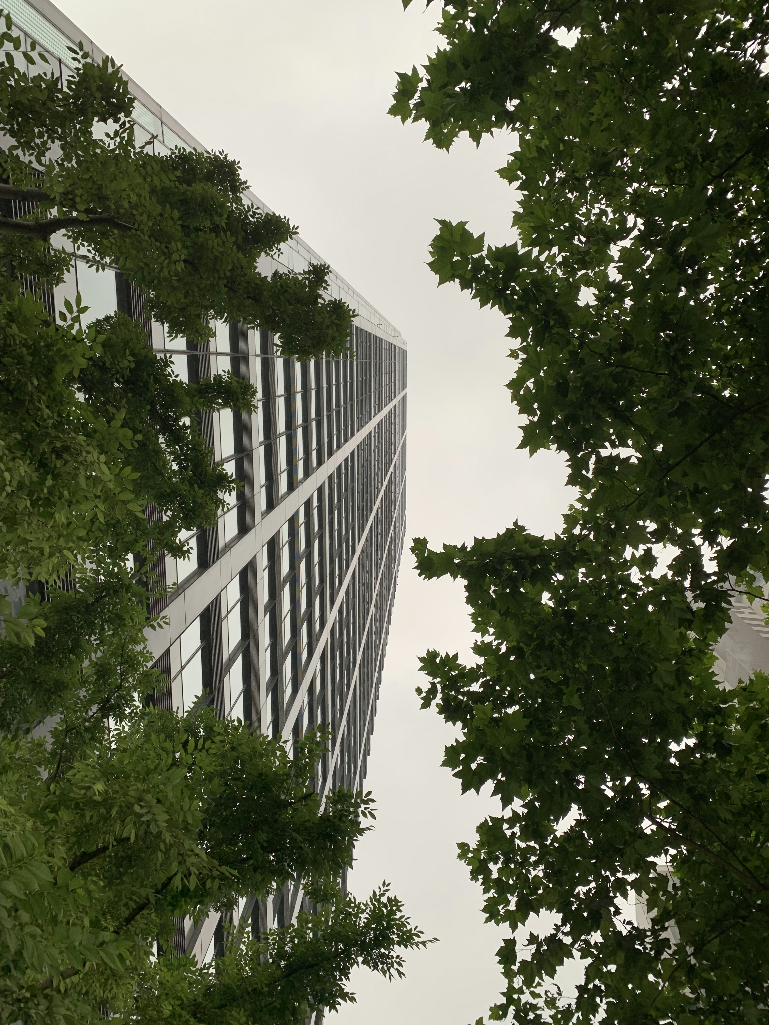 Photo by no_second_best