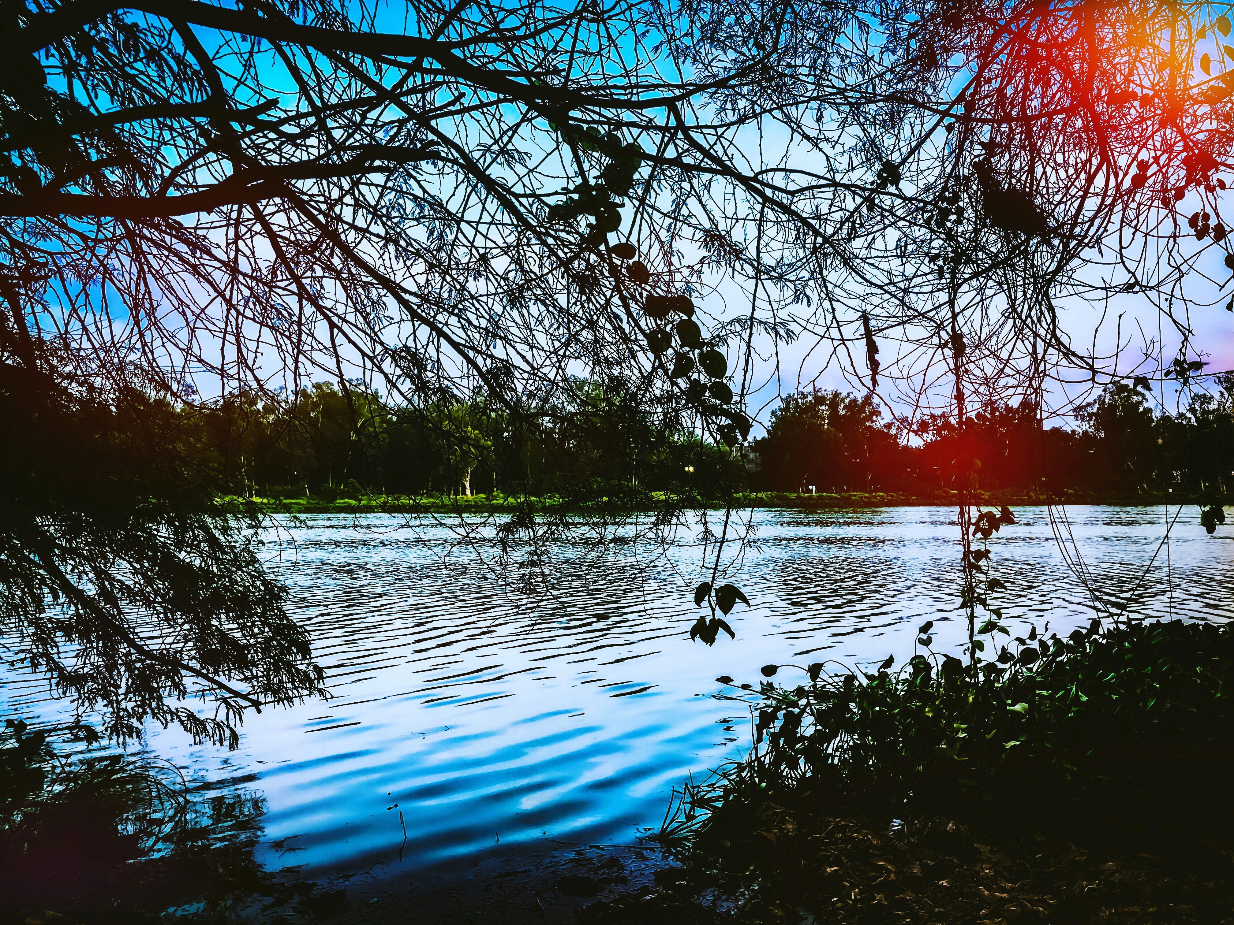 Photo by ashish_2931