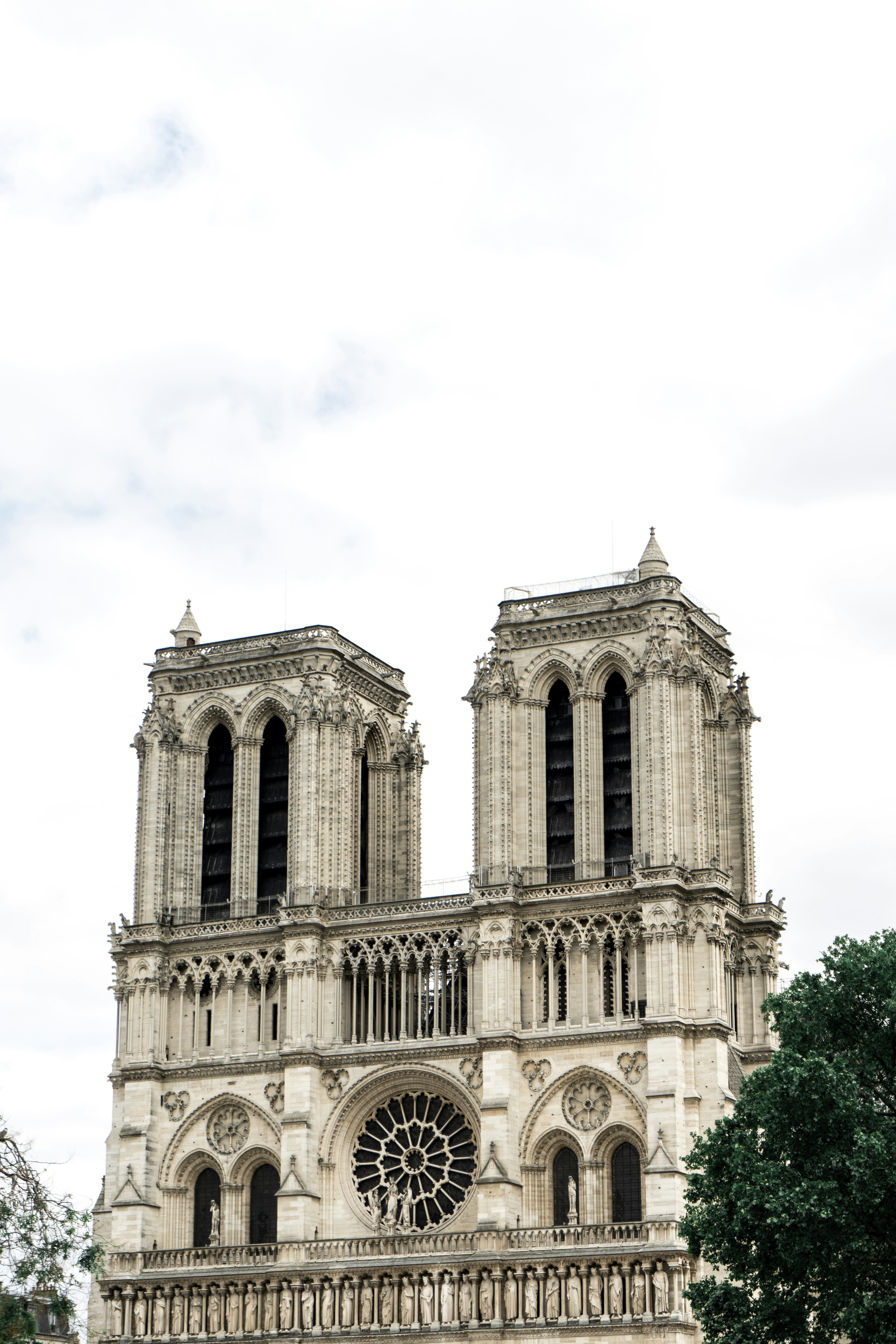 Photo by virussinside