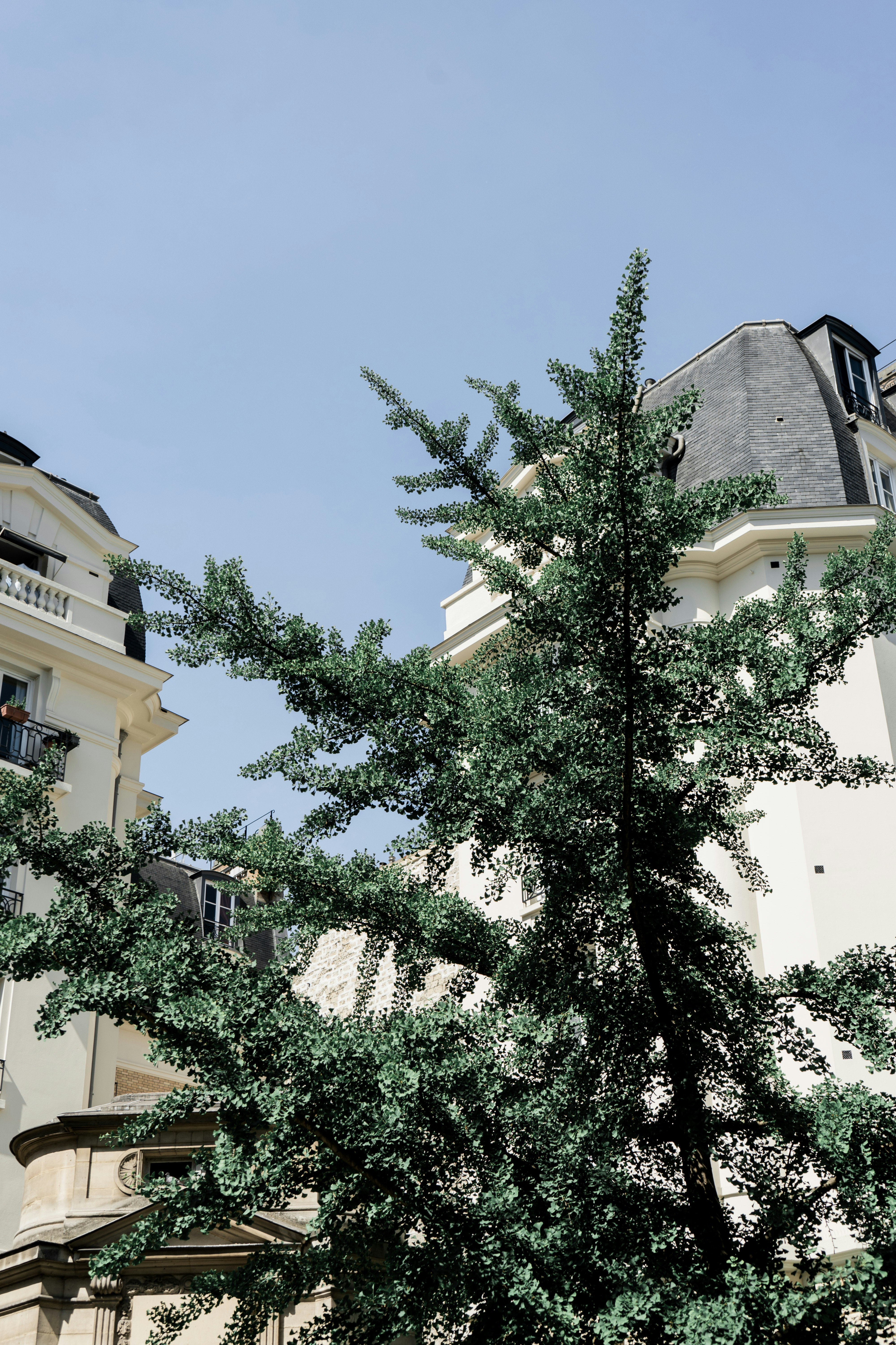 Photo by virussinside