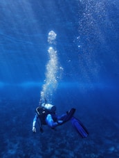 underwater photography of diver during daytime