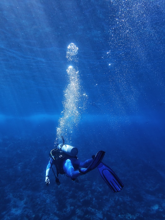 underwater photography of diver during daytime