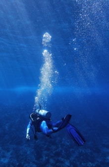underwater photography of diver during daytime