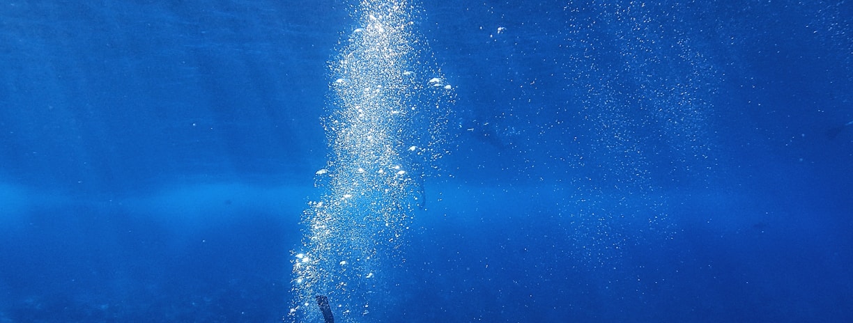 underwater photography of diver during daytime